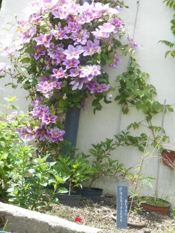 Bed and Breakfast La Mare Aux Fees Huelgoat Exteriér fotografie